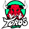 博戈塔海盗